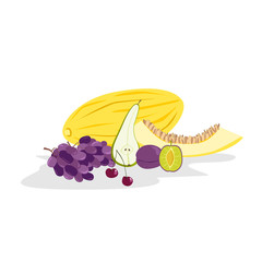 Bright composition of different fruits. Vector