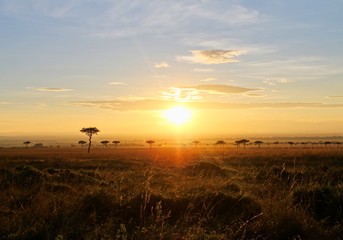 sunset over field in masai mara safari