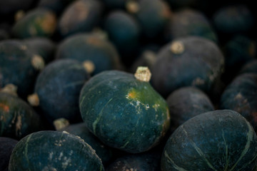 Dark Green Pumpkins