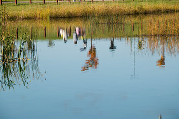 秋の晴れた日の池　旭川市北彩都
