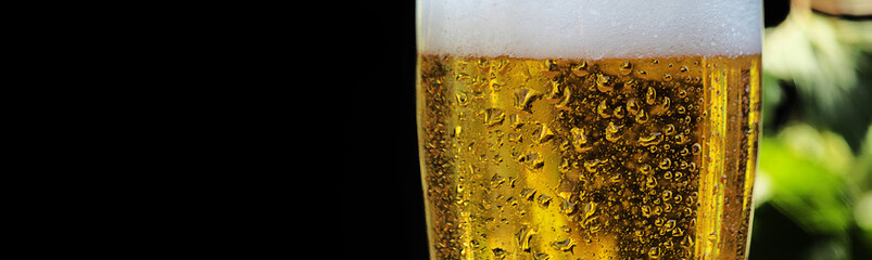 Beer in a mug. Drops of water on a glass. Light beer and bubble foam. Black background. Banner