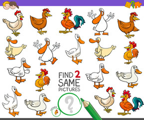 find two same farm birds game for kids