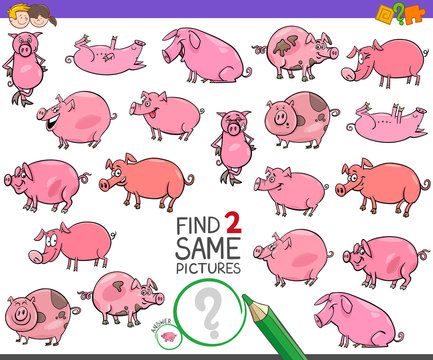 find two same pigs characters game for kids