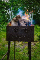 Wood burning barbecue