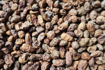 Close-up of dried chufas that form a textured background