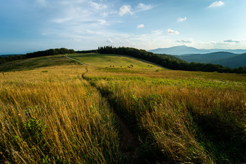 Landscape on the Blue Ridge Parkway