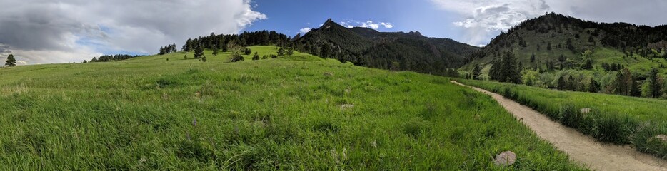 mountain top scenic view of canyon valley below surrounded by forest trees and plants trail