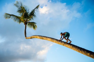 Scenic golden sunset view of an unrecognizable Brazilian boy climbing a curving palm tree