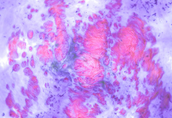 Acrylic paints. Mixing paints