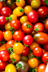 Closeup on red and yellow tomatoes basket in a commercial kitchen restaurant, colorful
