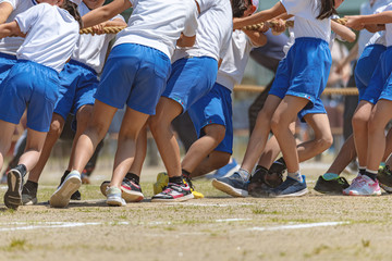 運動会 綱引き風景