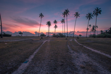 Wallpaper of natural light, close by the sea, with beautiful twilight sky, blurring of wind blowing all the time and many coconut trees and grasses surrounding