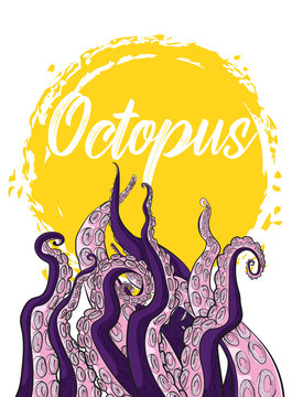 Tentacles an Octopus colorful vector illustration in cartoons style on white background with yellow grunge banner. Art of Krakens or squids palpus for banners, wallpaper, marketing presentation