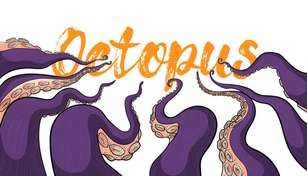 Tentacles an Octopus colorful vector illustration in cartoons style on white background with yellow grunge banner. Art of Krakens or squids palpus for banners, wallpaper, marketing presentation