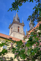 Fototapeta premium The Church of Our Lady before Tyn, is a gothic church located in the Old Town Square of Prague, Czech Republic.