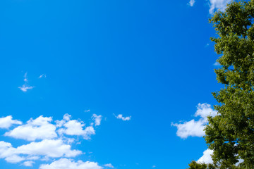 【写真素材】 青空　空　雲　夏の空　背景　背景素材　9月　コピースペース　
