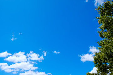 【写真素材】 青空　空　雲　夏の空　背景　背景素材　9月　コピースペース　