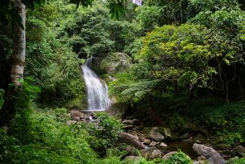 Datfa waterfall. Stream of water fall to a little pond flowing through rocks and bolder in a lush green tropical jungle full of trees. Tai rom Yen National Park, Surat Thani, Thailand.