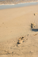 footprints in the sand heading to the water