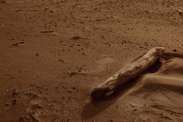 流木　ビーチ　砂浜　セピア　漂着物