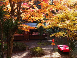 紅葉の中の茶屋