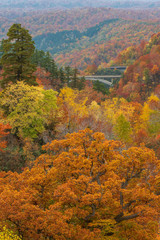 Colorful autumn season at Hachimantai mountain area, Tohoku, Japan.