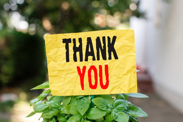 Word writing text Thank You. Business photo showcasing a polite expression used when acknowledging a gift or service Plain empty paper attached to a stick and placed in the green leafy plants