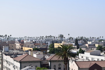 Fototapeta na wymiar view of downtown LA from rooftop