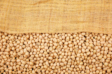 soybean beans background, seeds food raw material,delicious dishes seed bean agricultural product