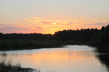 Fototapeta premium Sunset view in the Green Cay Wetland Boynton Beach Florida USA 