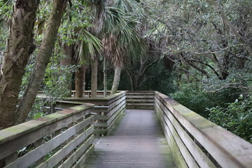 Fototapeta premium Board Walk in the Green Cay Wetland Boynton Beach Florida USA 