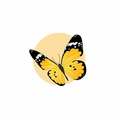 Fototapeta na wymiar Yellow Butterfly Flat Design on White Background