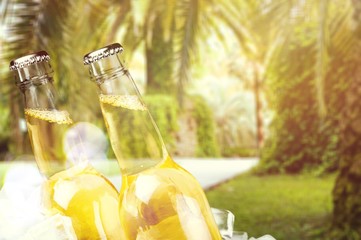 Beer bottles with ice on light background