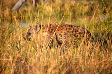 Botswana