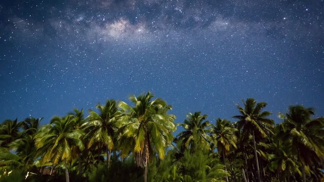 Timelapse ofmilkyway in front of palm trees on a beach on the Cook islands