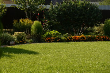 green grass, lawn in the garden. Gardening, landscaping