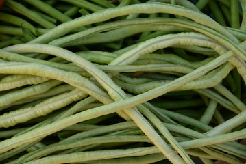green beans is raw, harvested on wooden background. legumes, vegetarianism and gardening