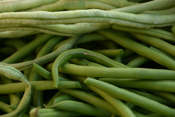 green beans is raw, harvested on wooden background. legumes, vegetarianism and gardening