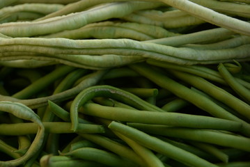 green beans is raw, harvested on wooden background. legumes, vegetarianism and gardening