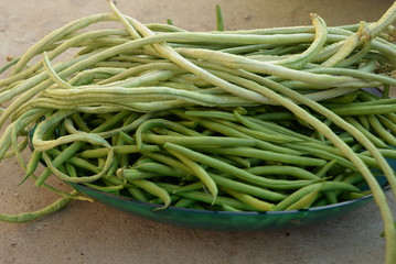 green beans is raw, harvested on wooden background. legumes, vegetarianism and gardening