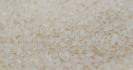 Pile of Rice dried and uncooked