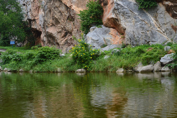 A serene shore in a park