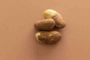 Nigerian Bitter Kola used as a stimulant