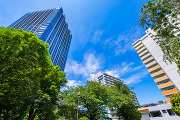 Obraz premium 戸山公園の緑とオフィスビルディングの風景