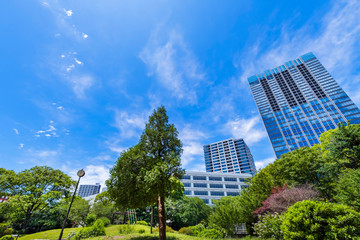 Fototapeta premium 戸山公園の緑とオフィスビルディングの風景