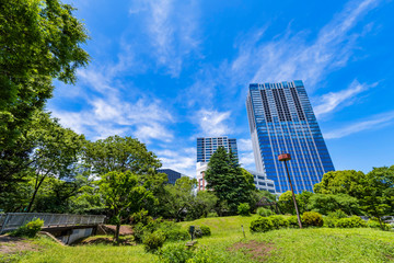 Fototapeta na wymiar 戸山公園の緑とオフィスビルディングの風景