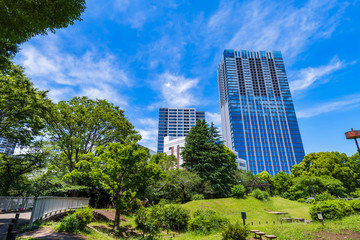 Obraz na płótnie Canvas 戸山公園の緑とオフィスビルディングの風景