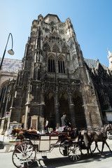 Naklejka na ściany i meble St. Stephen's Cathedral. Vienna