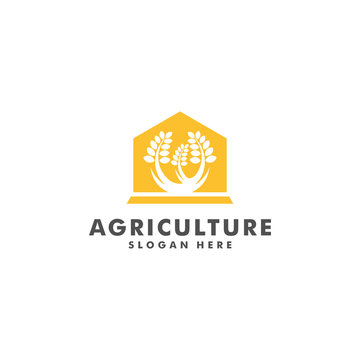 wheat farm logo design, Agriculture icon symbol vector illustration