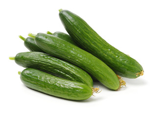 Lebanese Cucumber isolated on white background